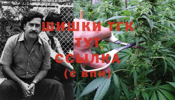 дмт Абдулино