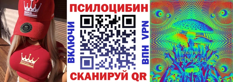 как найти Новое Девяткино кракен зеркало Псилоцибиновые грибы GOLDEN TEACHER